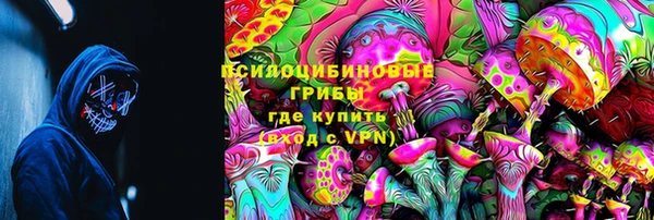 бошки Елизово