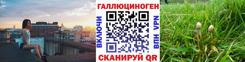 Псилоцибиновые грибы GOLDEN TEACHER  купить закладку  Куса 